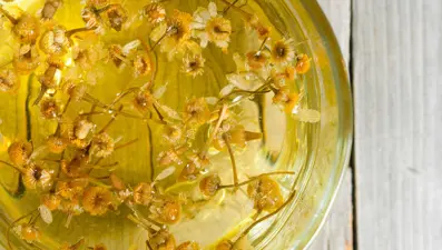 Papatya çayının bilimsel olarak kanıtlanmış 7 faydası