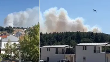 İzmir Urla ve Aliağa'da orman yangınları kontrol altında
