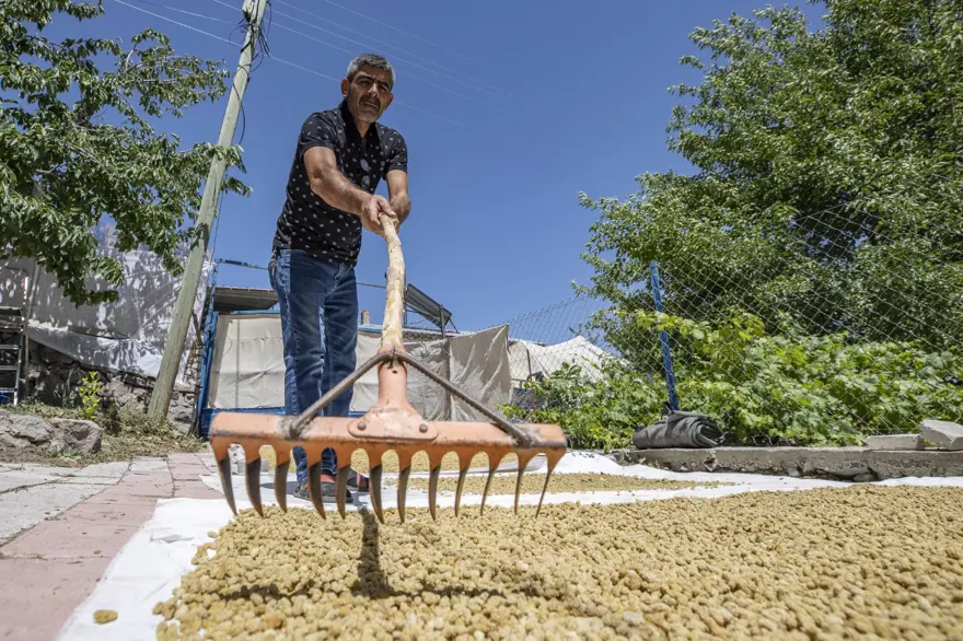 Coğrafi işaretli "Ulukale Dutu" geçim kaynağı oldu! Güneşin karşısında kurutuluyor, elekten geçirilerek hazırlanıyor 20