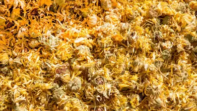 Karaciğer ve böbrekleri temizleyen 4 yöntem: Toksinleri atmaya yardımcı oluyor