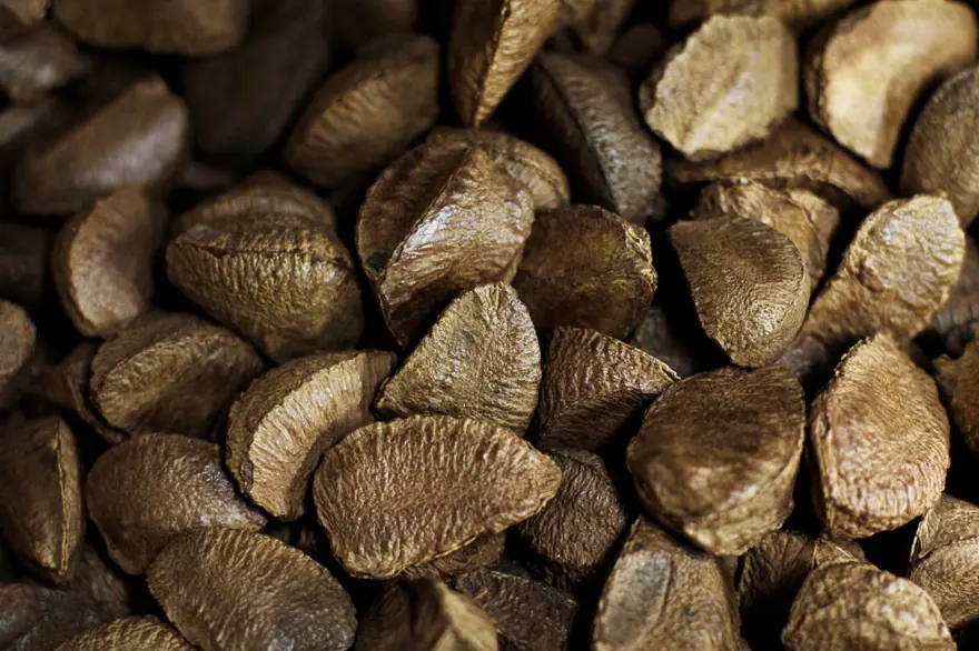 Doğadaki en yüksek selenyum kaynağı ama böbrekleri ve kalbi bitiriyor! Kanadalı diyetisyen uyardı: 7 tane yemek bile öldürebilir 4