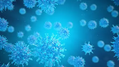 Hong Kong'da ilk kez bir kişide "Monkey B" virüsü tespit edildi