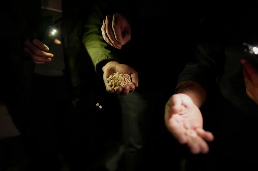 Suriye'de rejimin "narko-devlet" olduğunun en açık kanıtı: Esad'ın en büyük zehir deposu ortaya çıkarıldı 14