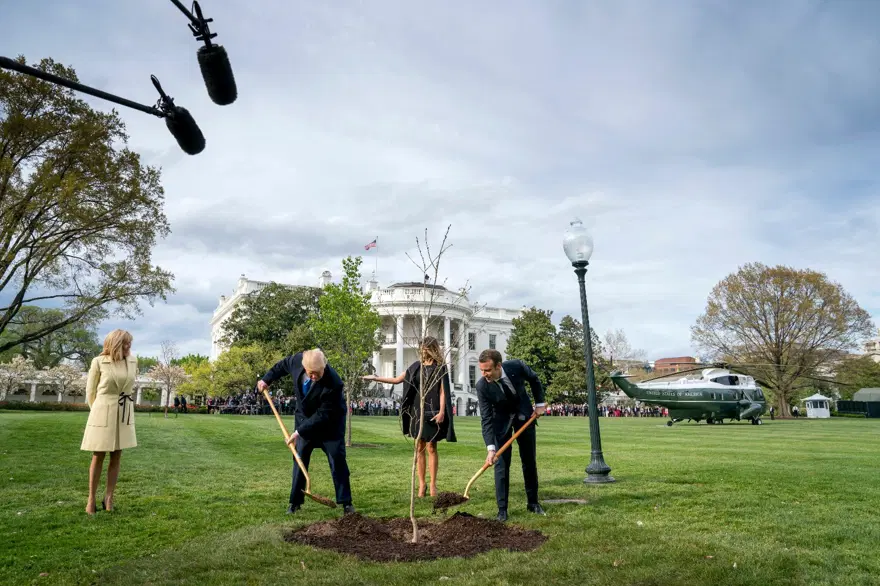 Trump ile Macron ağaç dikti 4