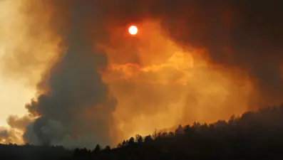 Bolu'da çıkan orman yangını kısmen kontrol altına alındı