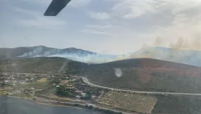 İzmir'de iki noktada orman yangını: Havadan ve karadan müdahale