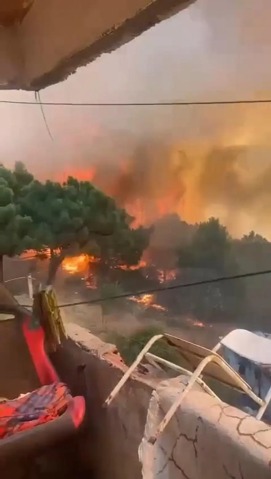 İstanbul Maltepe'de orman yangını 2