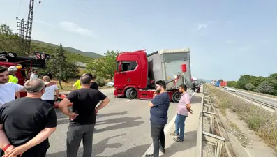 Seyir halindeyken arı soktu: Şoka girdi, trafik kilitlendi