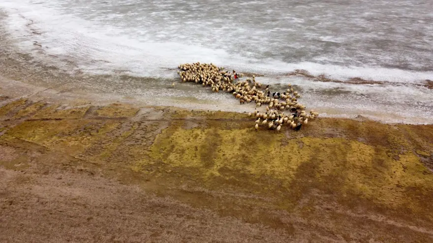 Van'daki Tuz Gölü kuraklık ve aşırı buharlaşma nedeniyle yeniden kurudu 10