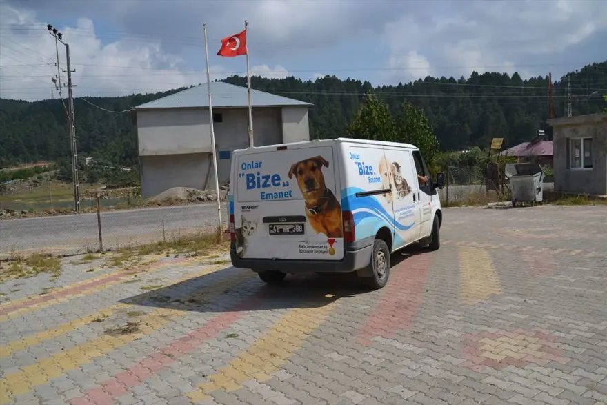 Yaralıyken bile yavrularını emzirmeye devam etti 9 Yaralıyken bile yavrularını emzirmeye devam etti 9