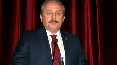 Mustafa Şentop: Anayasa teklifi geçmezse Türkiye seçime mecbur kalır