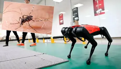 Hong Kong "chikungunya" ile mücadelesinde robot köpekleri kullanacak