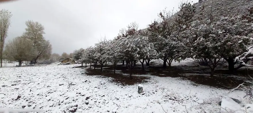 Antalya Kaş'a yılın ilk karı 3