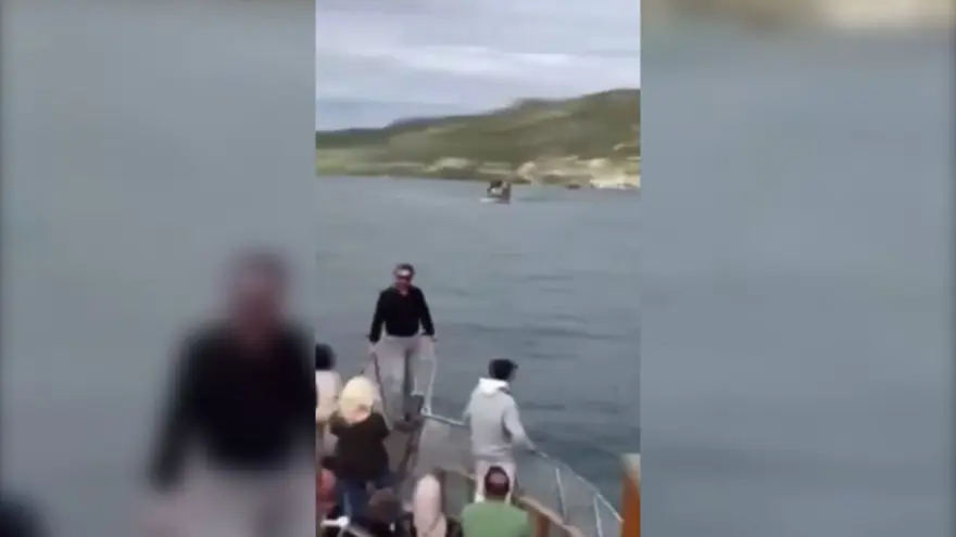 Halfeti’de turtekneleri çarpıştı 