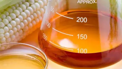 “Nişasta bazlı şeker tüketimi hasta bir nüfus doğuruyor”