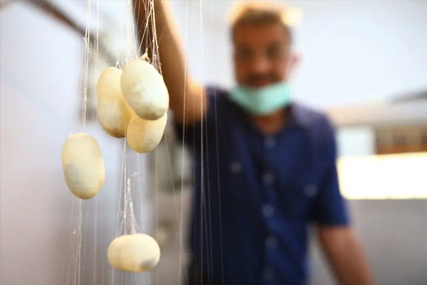 Kapadokya'nın canlı müzeleri: Halı mağazaları 11