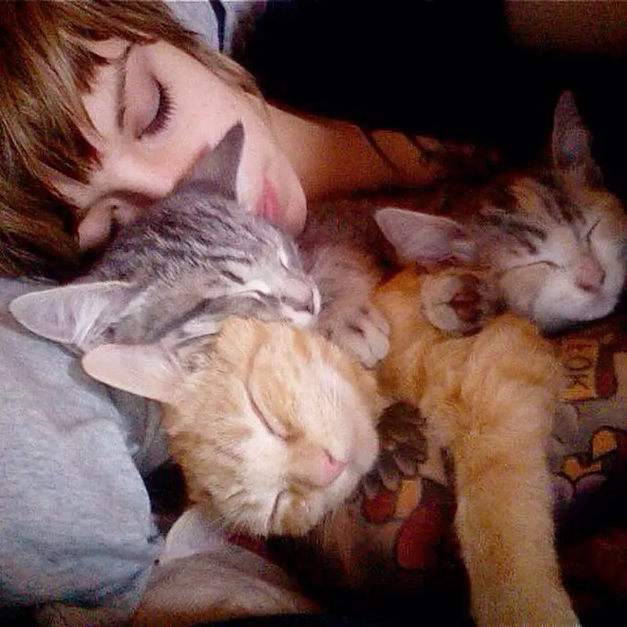 Hayatını kedileri kurtarmaya adadı 62