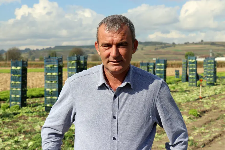 Marul tarlada 50 kuruş, markette 8 lira 6