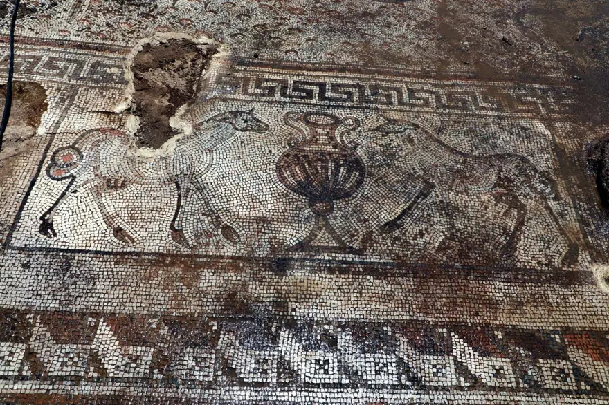 Kaçak kazıda bulunan mozaikler Zeugma Müzesi'ne taşınıyor 2 Kaçak kazıda bulunan mozaikler Zeugma Müzesi'ne taşınıyor 2