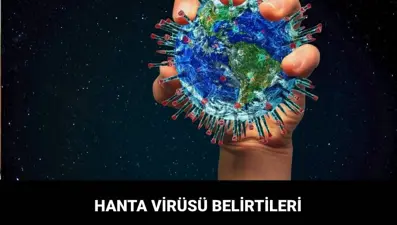 Hanta virüs nedir, belirtileri neler? Hanta virüs bulaşma yolları