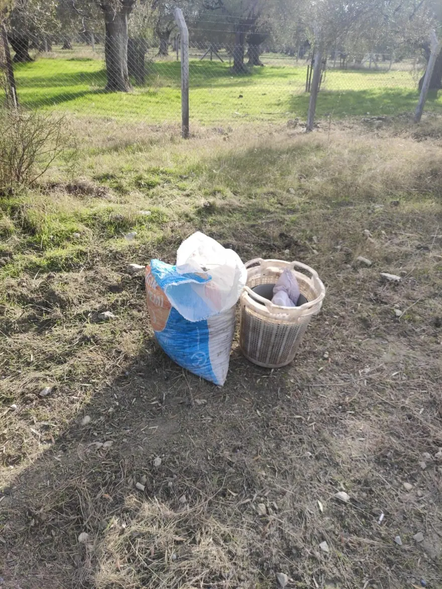 "Yeşil altın" için 22 bekçi görev yapıyor: 7/24 mesai yapıyor, hırsızlara geçit vermiyorlar 5 "Yeşil altın" için 22 bekçi görev yapıyor: 7/24 mesai yapıyor, hırsızlara geçit vermiyorlar 5