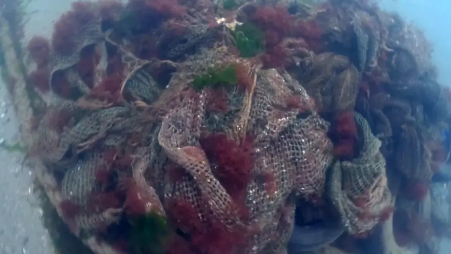 'Hayalet gemi' su altından görüntülendi 12