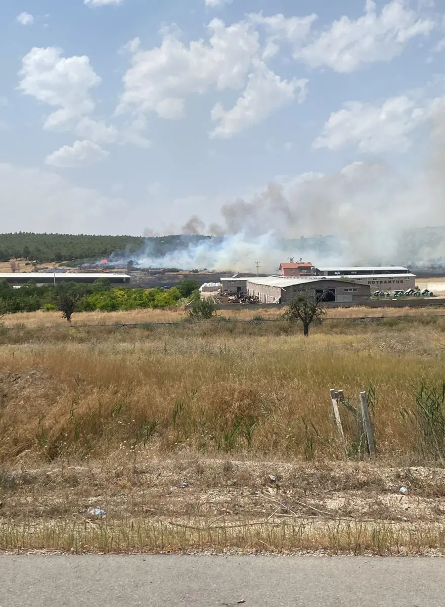 Antalya, Çanakkale, Manisa, Balıkesir, İzmir ve Kütahya’da ormanyangını 12