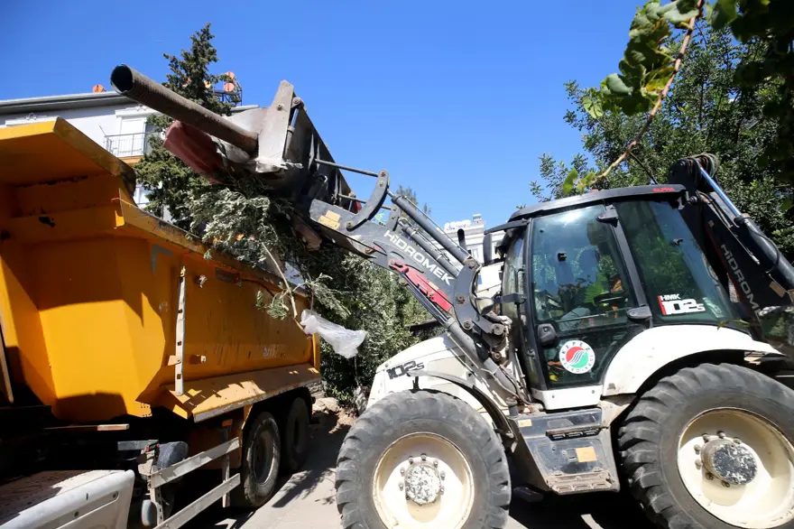 Yer: Antalya! 2 evden 8 kamyon çöp çıktı 4