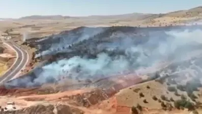 Anız yangını 70 dönüm araziyi küle çevirdi