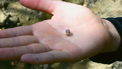 ABD'de bir kadın nişan yüzüğü için kendi elmasını kendi buldu