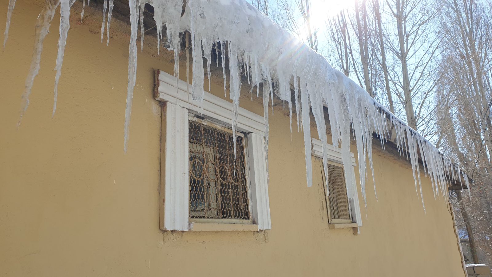 Sibir soğukları Van'ı vurdu: Termometreler sıfırın altında 24 dereceyi gösterdi