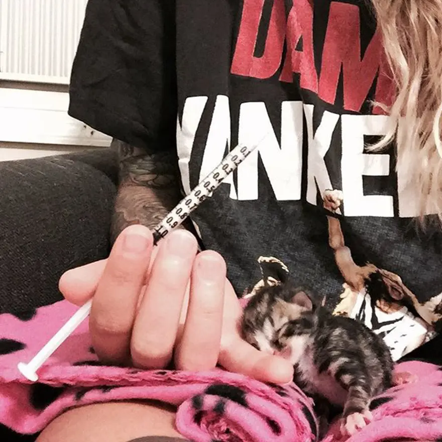 Hayatını kedileri kurtarmaya adadı 268