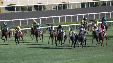 97. Gazi Koşusu ne zaman, ayın kaçında? Yarışacak safkanlar belli oldu