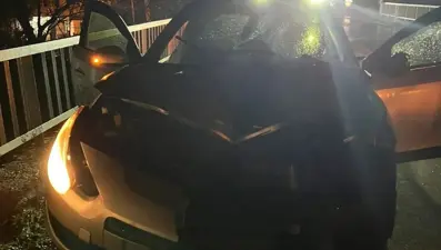 Ordu'da otomobil yayalara çarptı: 1 ölü, 1 yaralı