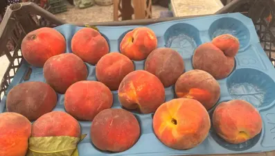 Bahar aylarında yaşanılan soğuklardan etkilenen meyveler etiketlere yansıdı