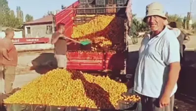 'Iğdır'da kayısı 1 TL, İstanbul'da 120 TL' paylaşımına 1 milyon 400 bin TL para cezası