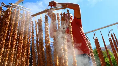 Orcik mesaisi başladı: Özel toprakla mayalanıyor
