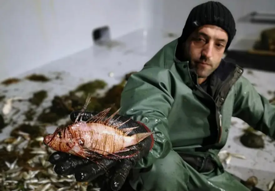 Aslan Balığı Kuzey Ege'ye çıktı 6