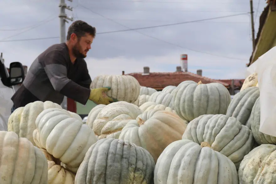 Psikolojiye iyi geldiği söyleniyor: Tarla fiyatı 20 lira 1
