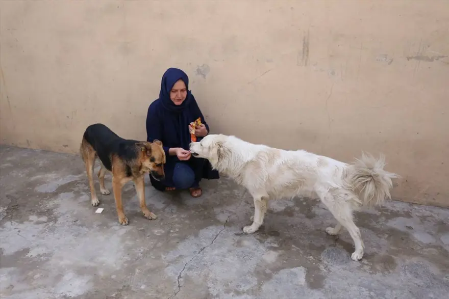 İŞSİZ KALINCA KUAFÖRLÜK YAPTI 3