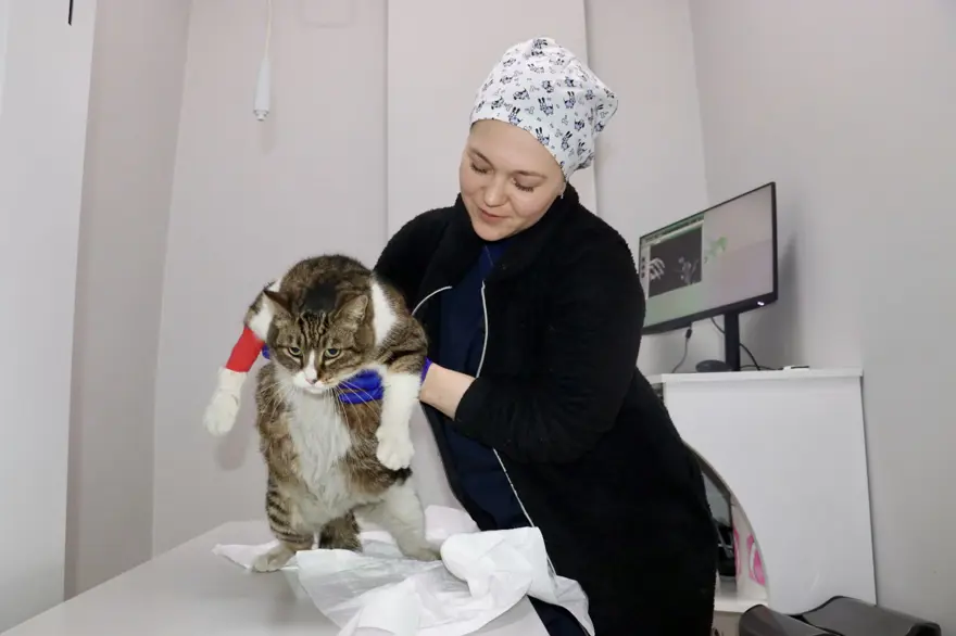 "DIŞARIDAN MAMA VERMEMELERİNİ ÖNERİYORUZ" 5