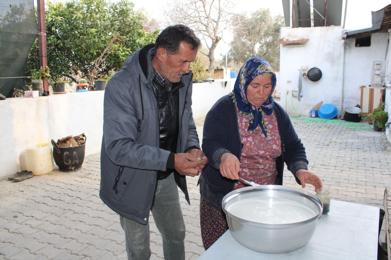 Kilosu bin TL'den satılıyor: Diğer sütlere göre daha fazla protein ve kalsiyum içeriyor