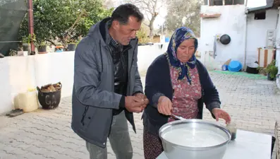 Kilosu bin TL'den satılıyor: Diğer sütlere göre daha fazla protein ve kalsiyum içeriyor