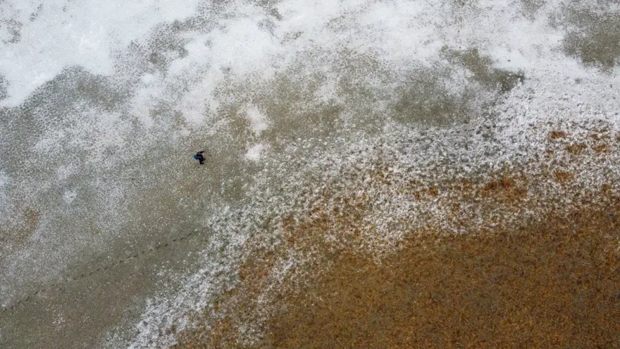 BURADA BİRÇOK KUŞ TÜRÜ YAŞIYORDU 6