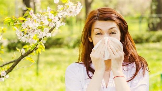 Bahar alerjisi “çok temizleri” daha çok etkiliyor