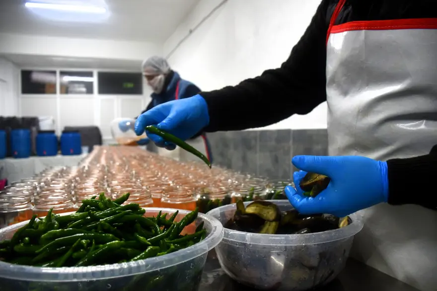 Bilecik'ten ABD, Kanada ve Almanya'ya gönderildi: Hardal tohumlu turşu ile ihracata hazırlanıyorlar 4 Bilecik'ten ABD, Kanada ve Almanya'ya gönderildi: Hardal tohumlu turşu ile ihracata hazırlanıyorlar 4