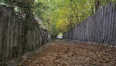 Malatya'da sonbahar renkleri hakim oldu