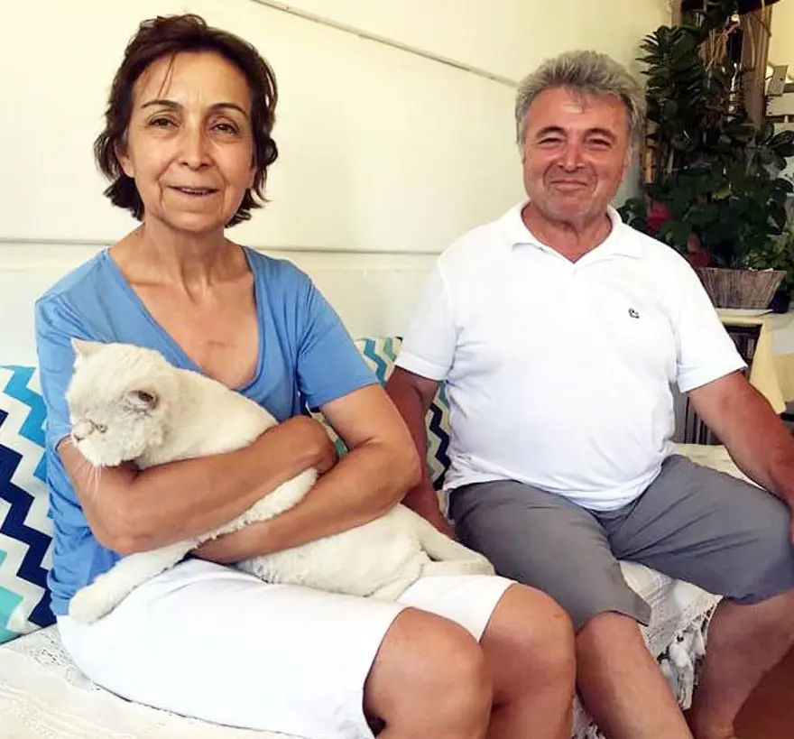 Kayıp kedi minibüsün kaportasından çıktı 6 Kayıp kedi minibüsün kaportasından çıktı 6