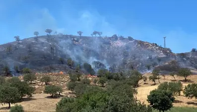 Çanakkale'de makilik alanda korkutan yangın