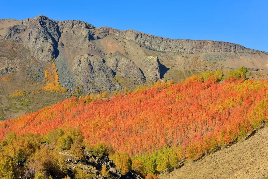 Nemrut Krater Gölü’nde sonbahar güzelliği eşliğinde çevre temizliği 14